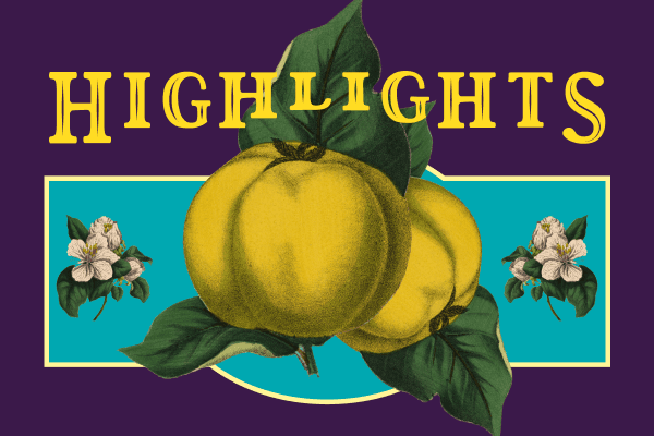 Highlights